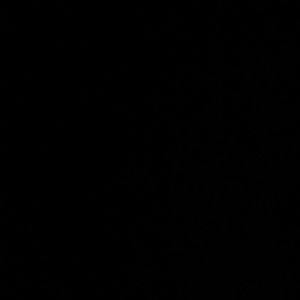 Meet your Posher, Madilynn